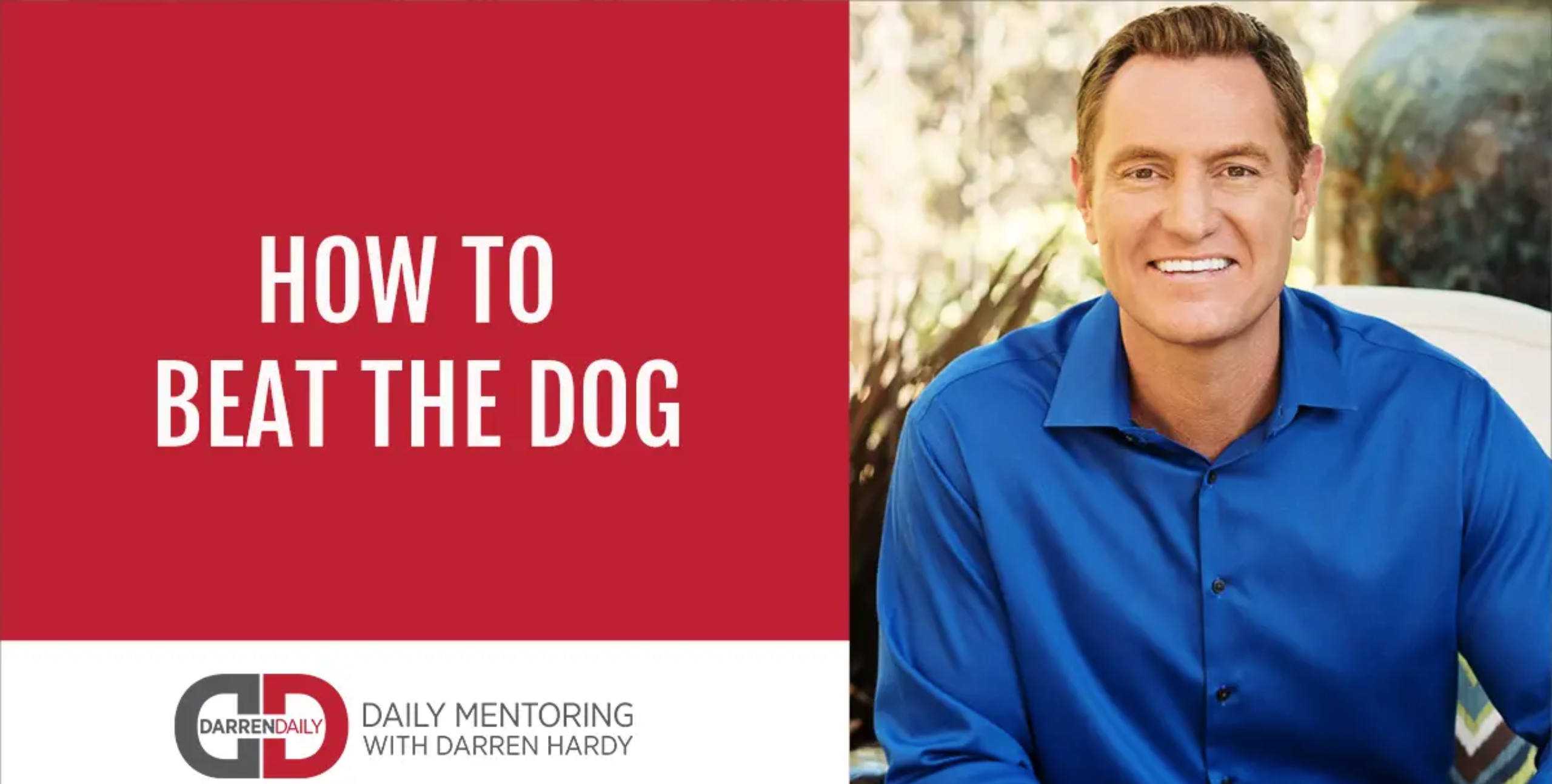 How to beat the dog series trailer